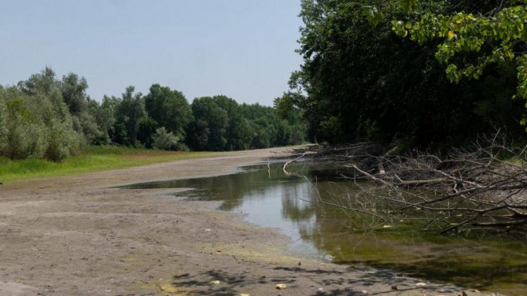 SICCITA’ 2023 – Scade il 18 aprile il termine per le aziende agricole di richiedere contributi