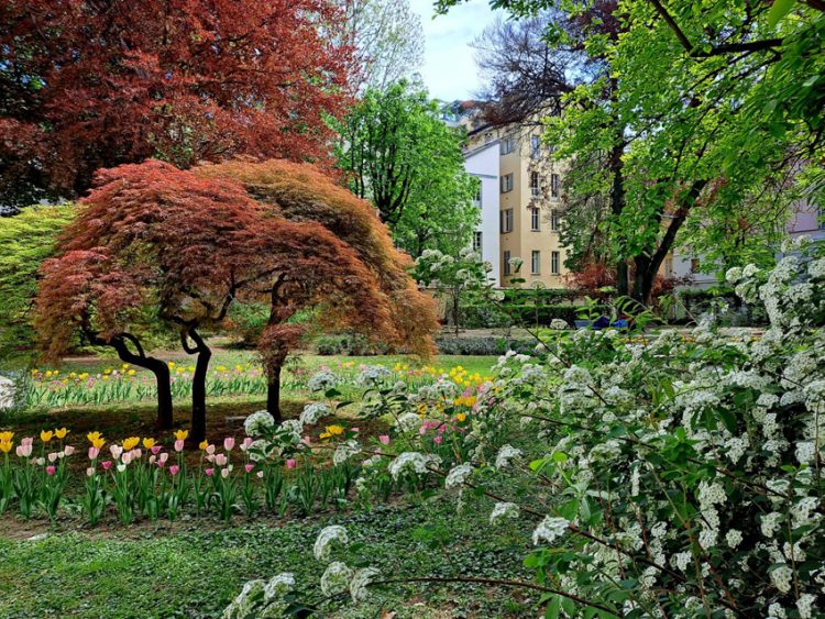Sabato 29 aprile a Palazzo Cisterna (Torino) “Jazz per un giardino ritrovato”