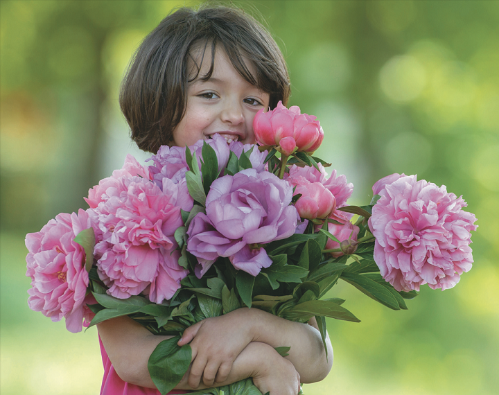 CARMAGNOLA – Peonie in fiore ai Tuninetti