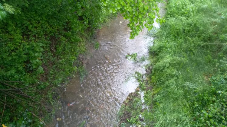 MALTEMPO – La pioggia del 1 maggio allevia la siccità ma la situazione resta sotto osservazione