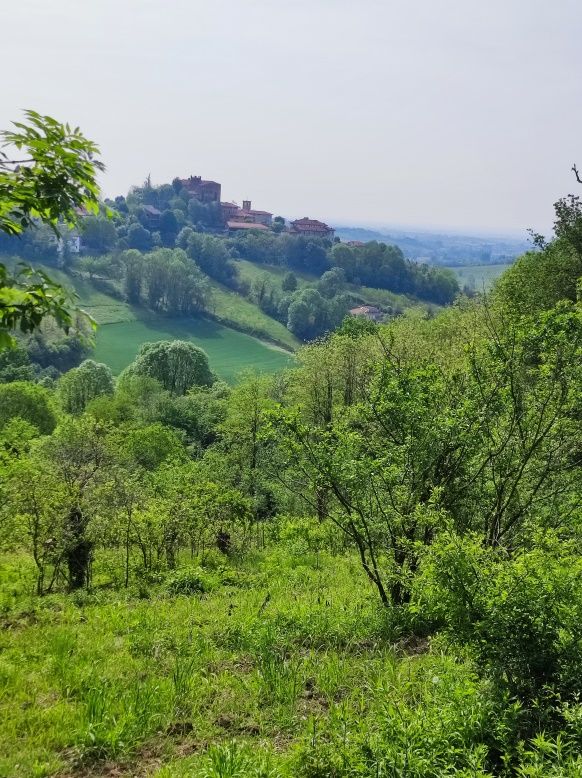 CITTA’ METROPOLITANA – Continua sul territorio del carmagnolese ‘I sabati e le domeniche del Villaggio’