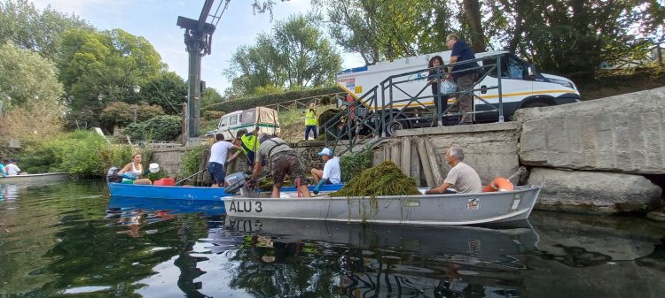 FIUME PO – A giugno un programma di pulizia dalle piante infestanti