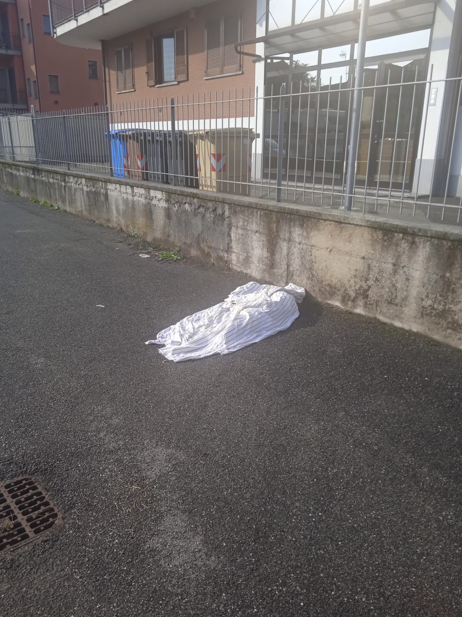 NICHELINO – Cane si incastra nella recinzione e muore soffocato