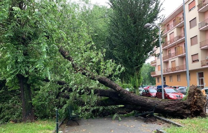 MONCALIERI – La conta dei danni del maltempo di questa notte