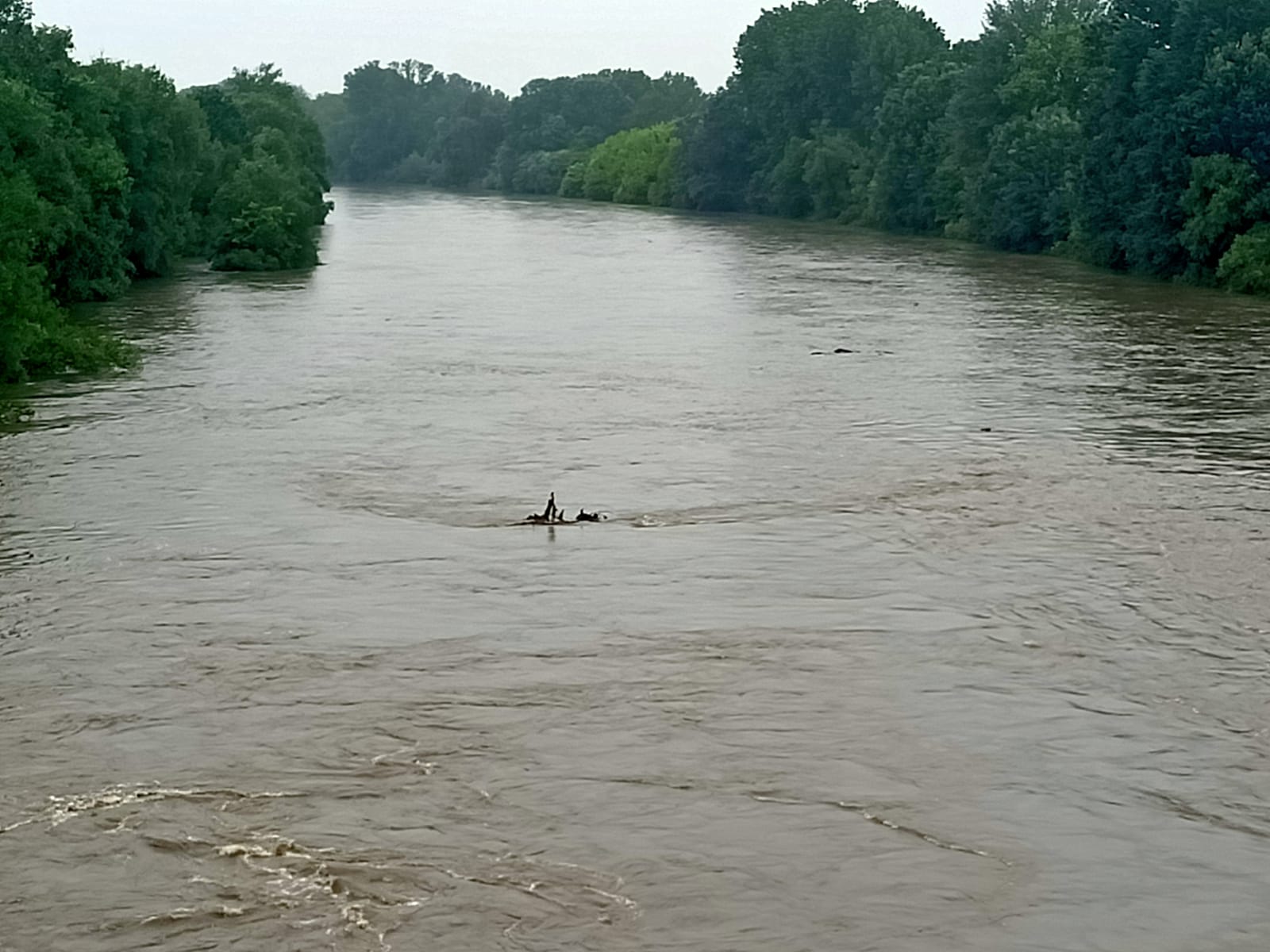 CARIGNANO – Maltempo, previsto innalzamento del Po al livello ordinario