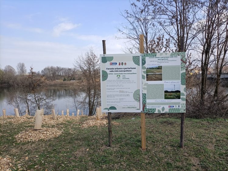 CITTA’ METROPOLITANA – Un maxi bando di riforestazione lungo tutto il territorio provinciale