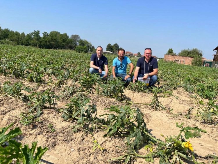 SANTENA – Sopralluogo dell’amministrazione sui campi colpiti dalla maxi grandinata