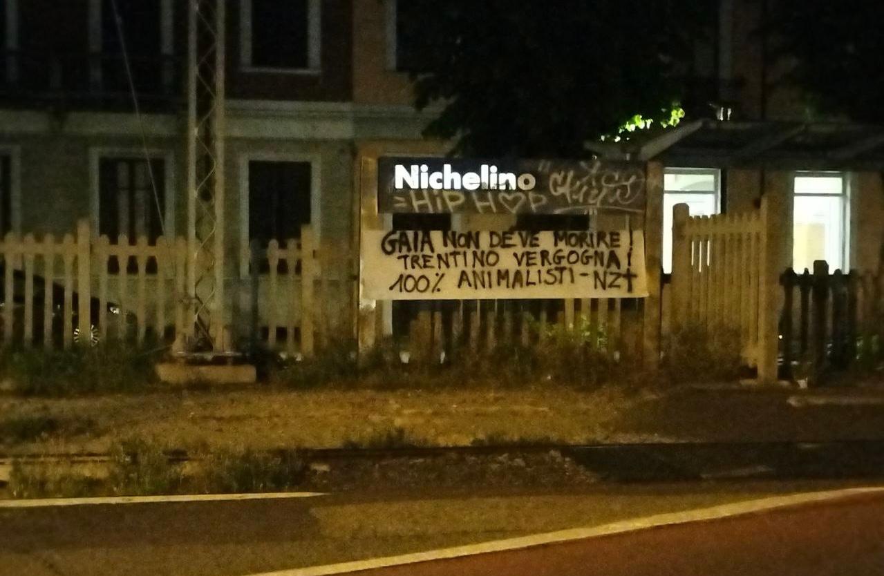 NICHELINO – Blitz animalista alla stazione, striscione a sostegno degli orsi in Trentino