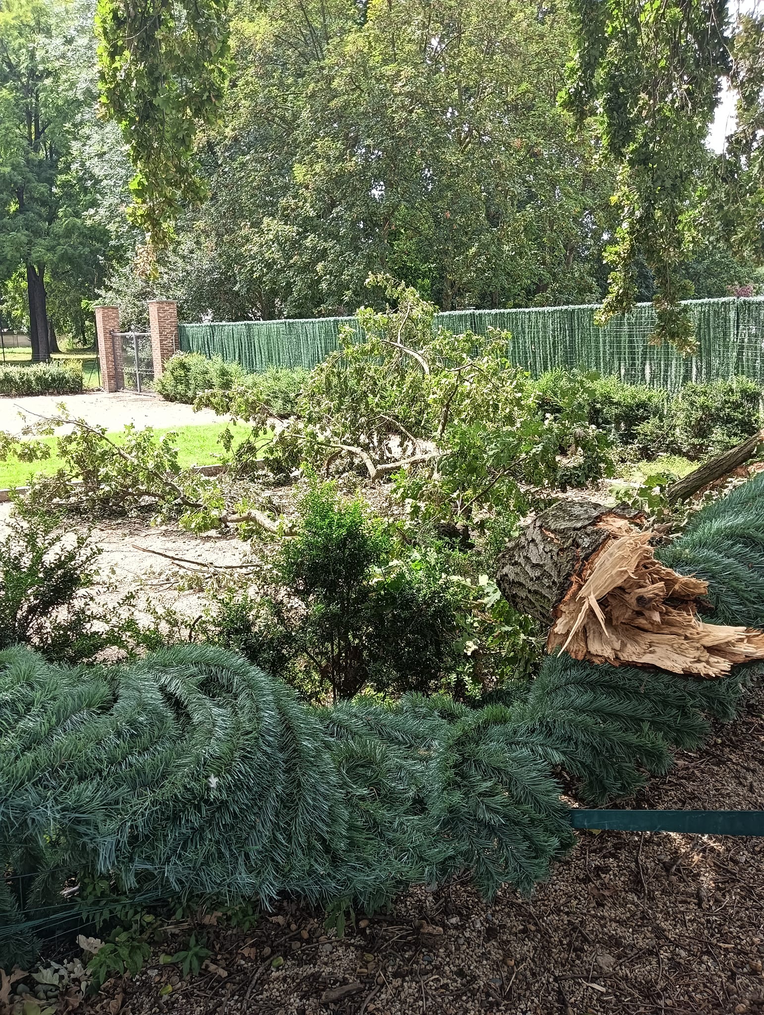 VINOVO – La furia del vento abbatte rami nel parco del Castello