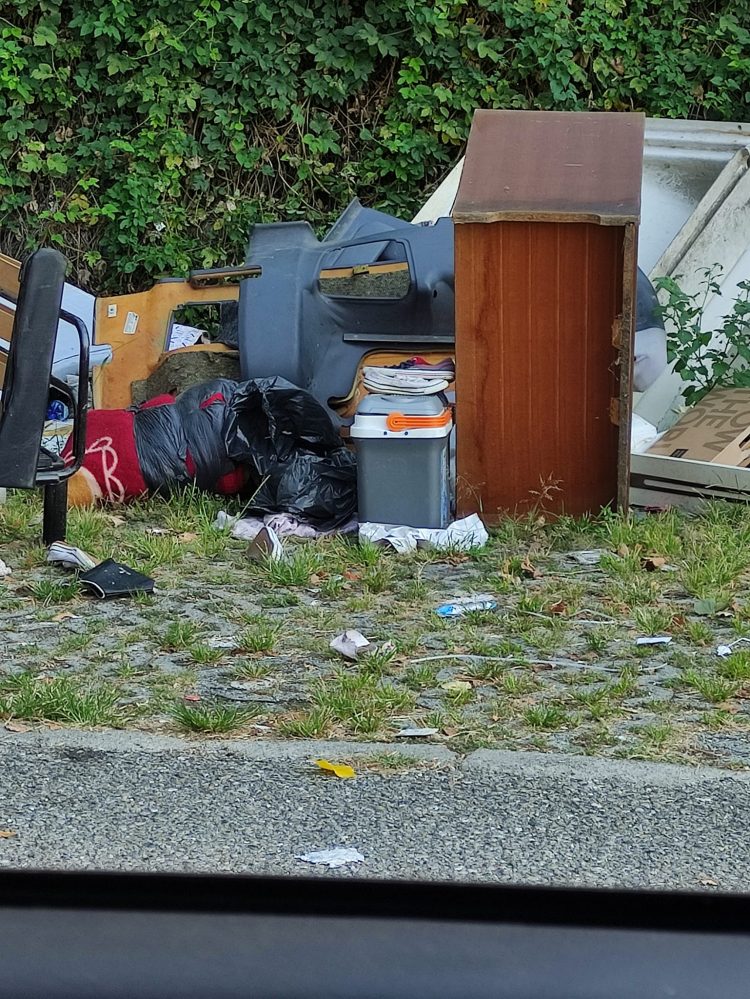 NICHELINO – Nuova segnalazione per mini discarica davanti al Carrefour di via Cacciatori