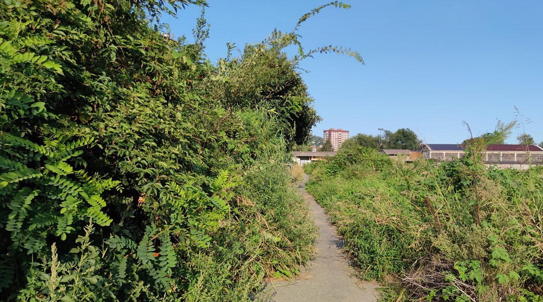 MONCALIERI – Pista ciclabile invasa dalla vegetazione