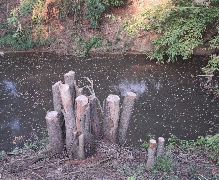 VILLASTELLONE – Rimossi i tronchi nel rio Stellone