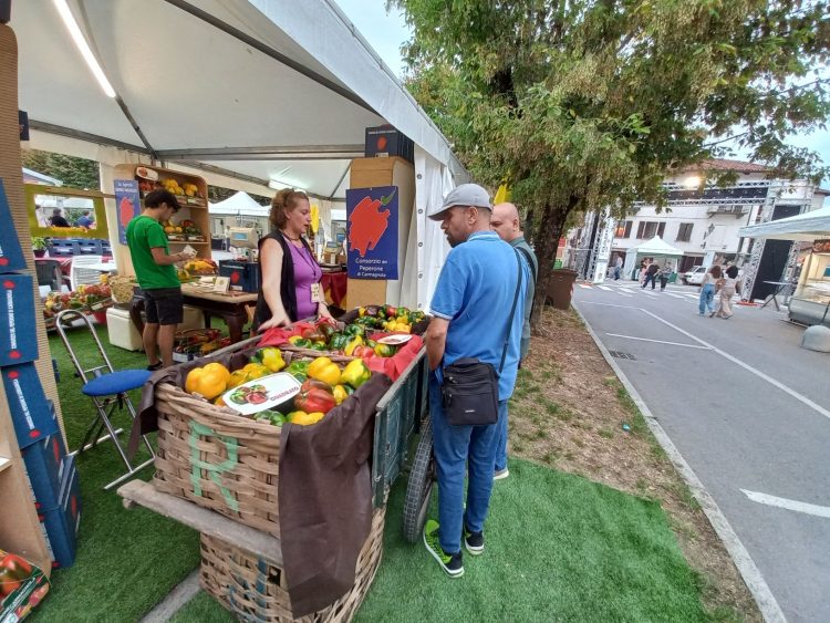 CARMAGNOLA – I segreti del Peperone raccontati attraverso Città Metropolitana