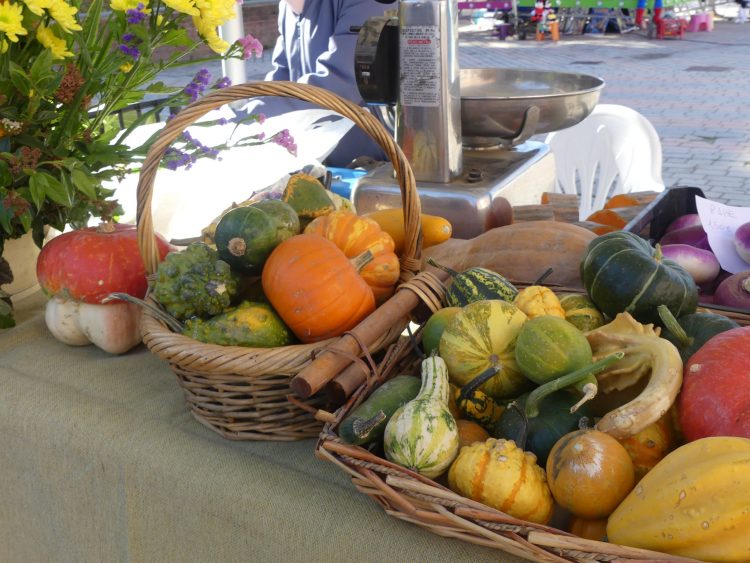 SANTENA – La festa della sagra della zucca