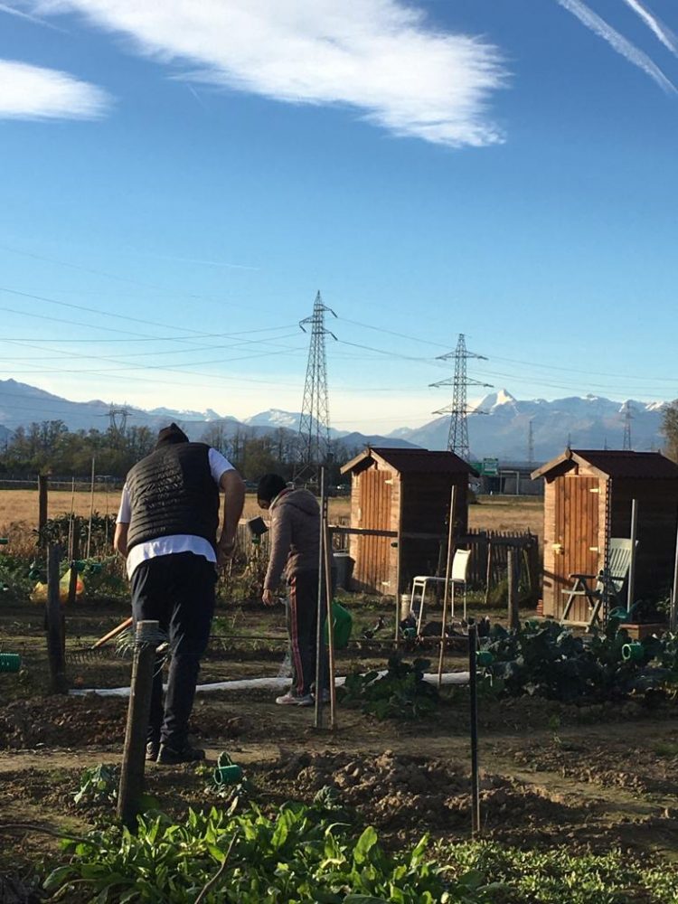 NICHELINO – Inaugurata la serra didattica nell’area Nichelino Fertile