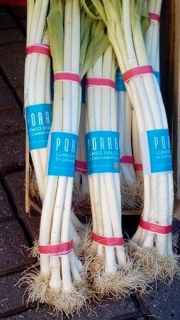 CARMAGNOLA – Giora e Porro lungo dolce protagonisti del prossimo weekend