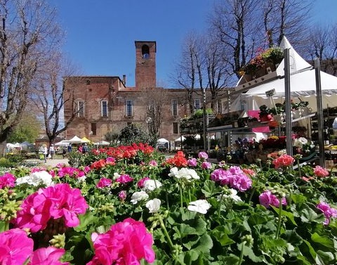 CARMAGNOLA – Ci si prepara per la nuova edizione di Ortoflora