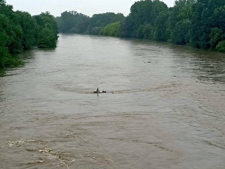 MALTEMPO – La pioggia fa crescere il livello del Po di 40 centimetri ma non ci sono pericoli