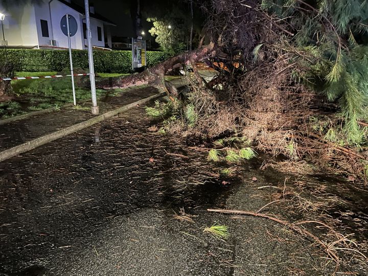 CANDIOLO – La strada è chiusa per una verifica sugli alberi ma qualcuno rimuove le transenne per passare