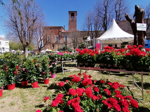 CARMAGNOLA – Il programma completo per Ortoflora