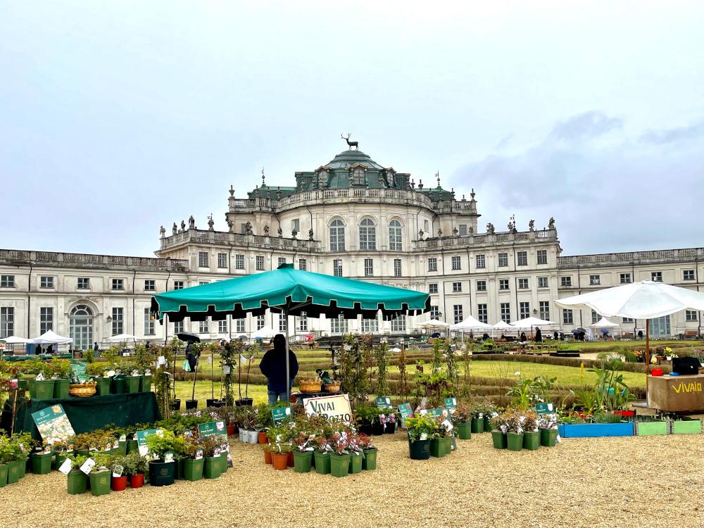 STUPINIGI – Torna ‘Anteprima Floreal’ alla Palazzina di caccia