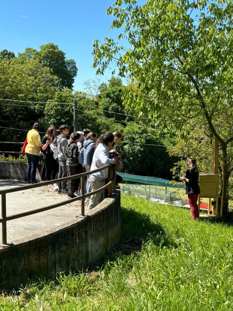 TROFARELLO – Per la giornata della Terra un ‘Hotel degli insetti’