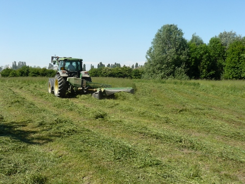 CARMAGNOLA – Parte il progetto della piantumazione del bosco Gerbasso