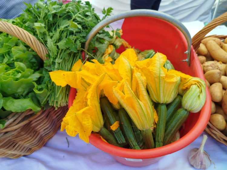 CAMBIANO – La Festa di primavera è un successo