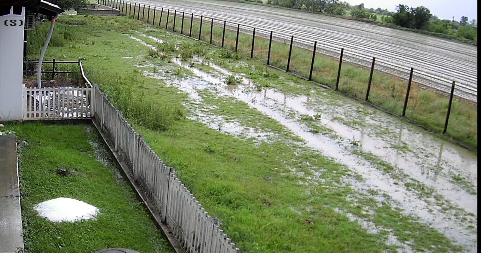 AGRICOLTURA – Maltempo trasforma campi in stagni: raccolto mais compromesso