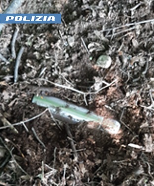 NICHELINO – Droga nel parco di Stupinigi, due arresti della polizia