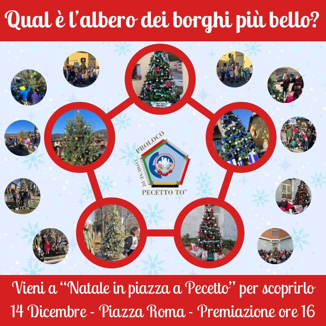 PECETTO – Sabato la premiazione dell’albero di Natale più bello dei borghi