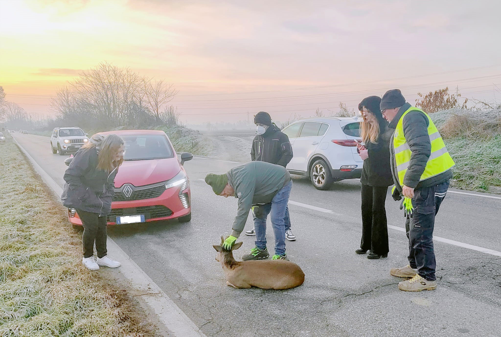 CARMAGNOLA – Giovane capriolo investito da un’auto a inizio gennaio