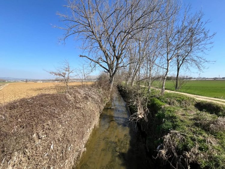 CAMBIANO – Il Comune, insieme a Santena, riqualifica il torrente Tepice
