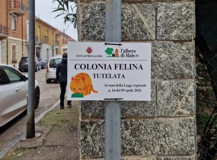 MONCALIERI – Nuove casette per le colonie feline