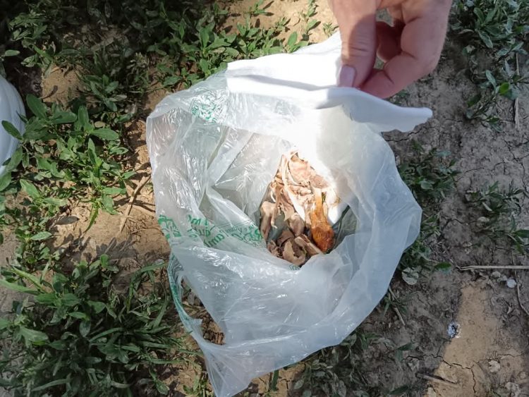 MONCALIERI – Ossa di pollo nell’area cani: allarme dei cittadini
