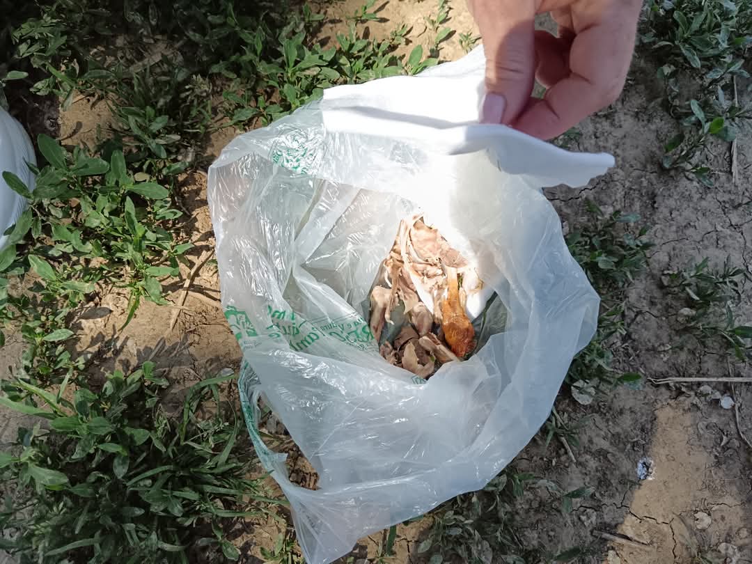 MONCALIERI – Ossa di pollo nell’area cani: allarme dei cittadini