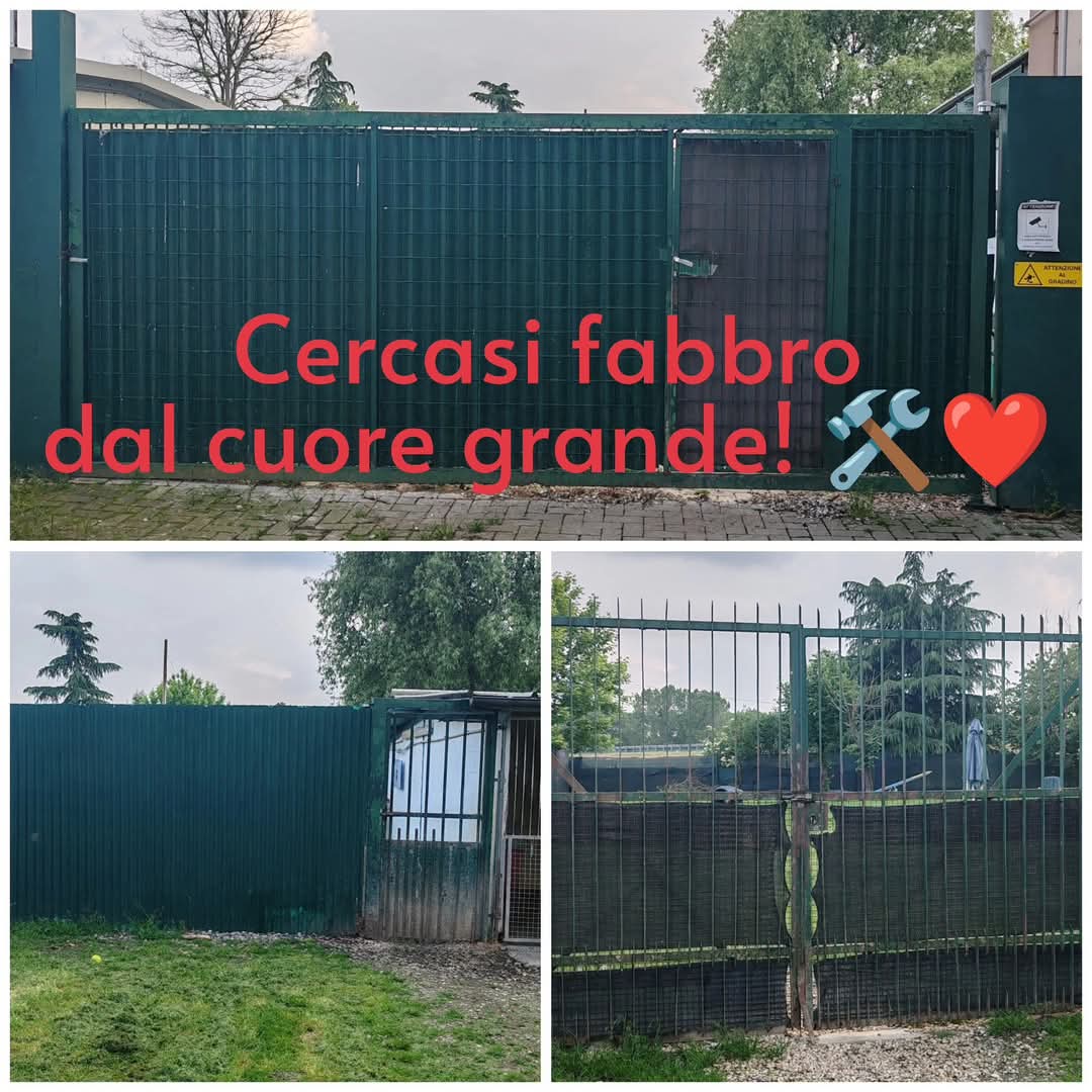 MONCALIERI – L’albero di Mais cerca un fabbro dal cuore grande