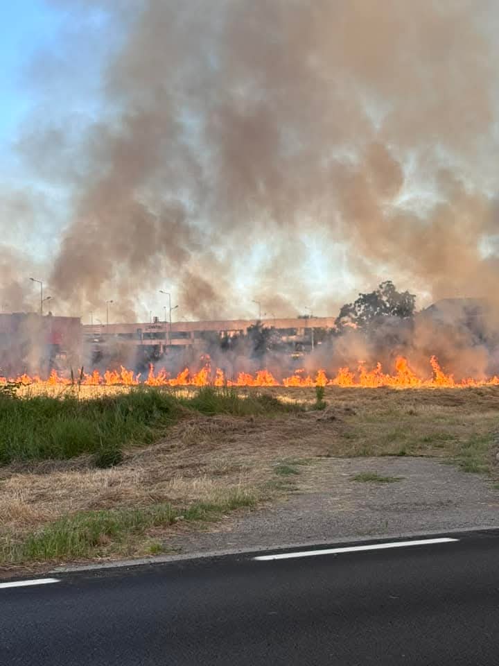 CARMAGNOLA – Altro incendio in città: a fuoco campo agricolo