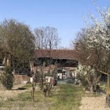 NICHELINO – Il ranch delle donne protagonista per la giornata del tumore ovarico