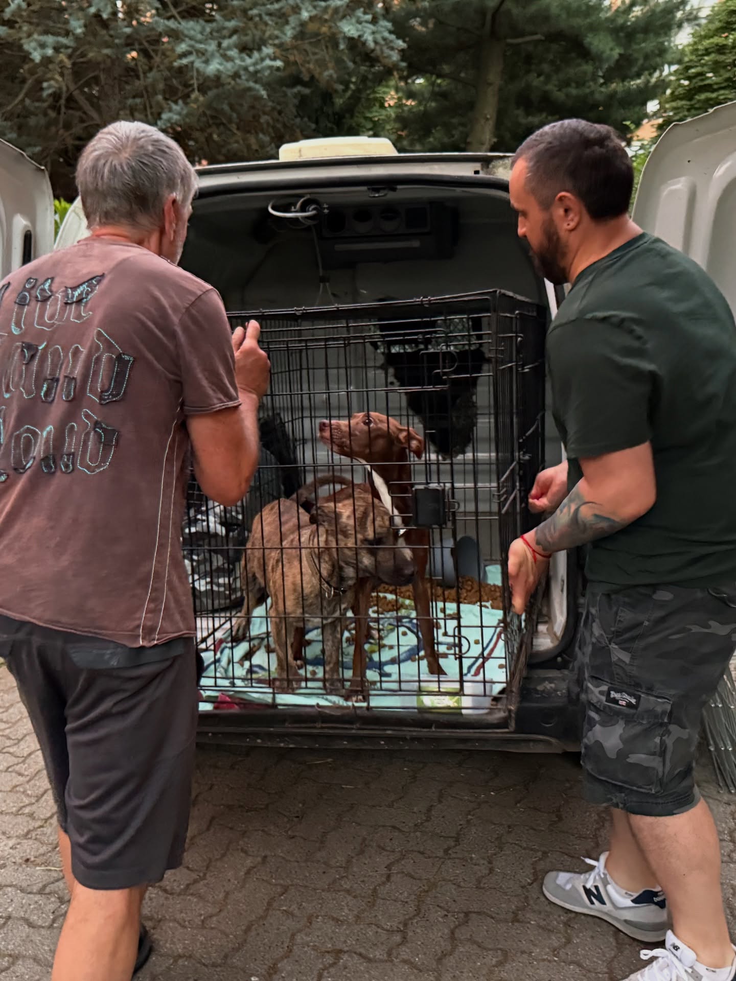 NICHELINO – Due cani rimasti soli salvati