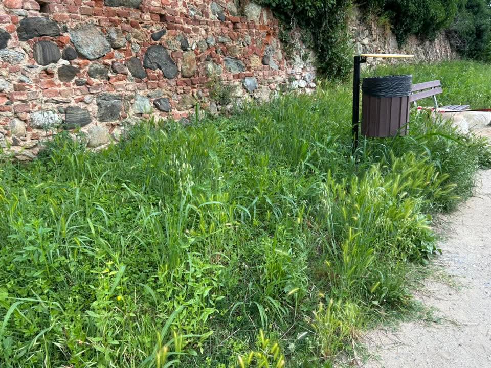 PECETTO – Erba troppo alta, proteste dei cittadini