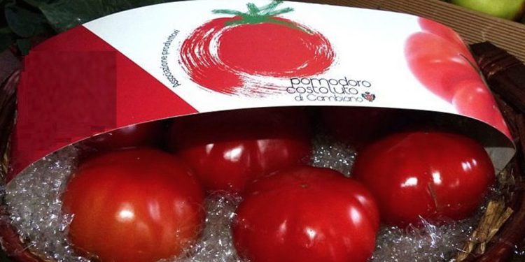 CAMBIANO – Un concorso dedicato al pomodoro costoluto