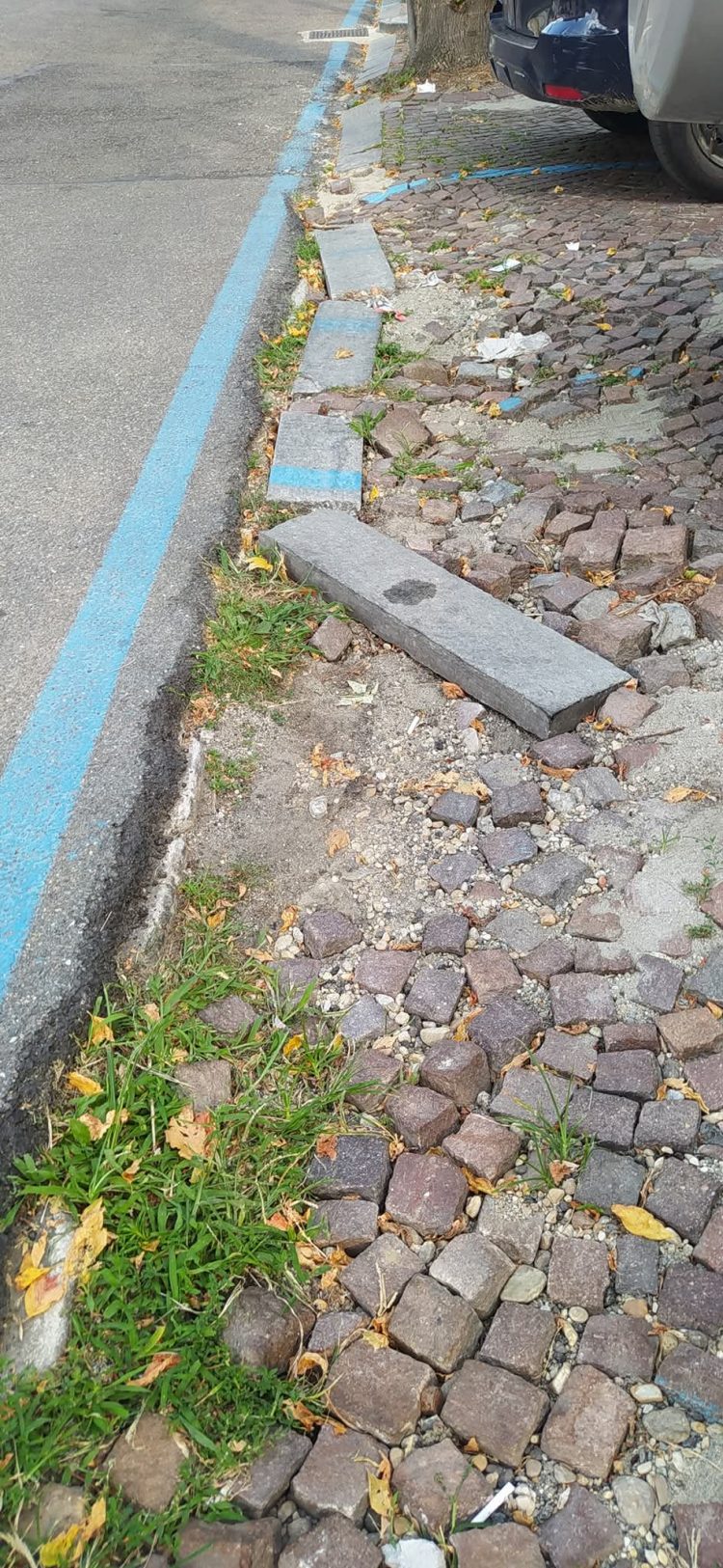 MONCALIERI – ‘Piú manutenzione in viale Porta Piacentina’