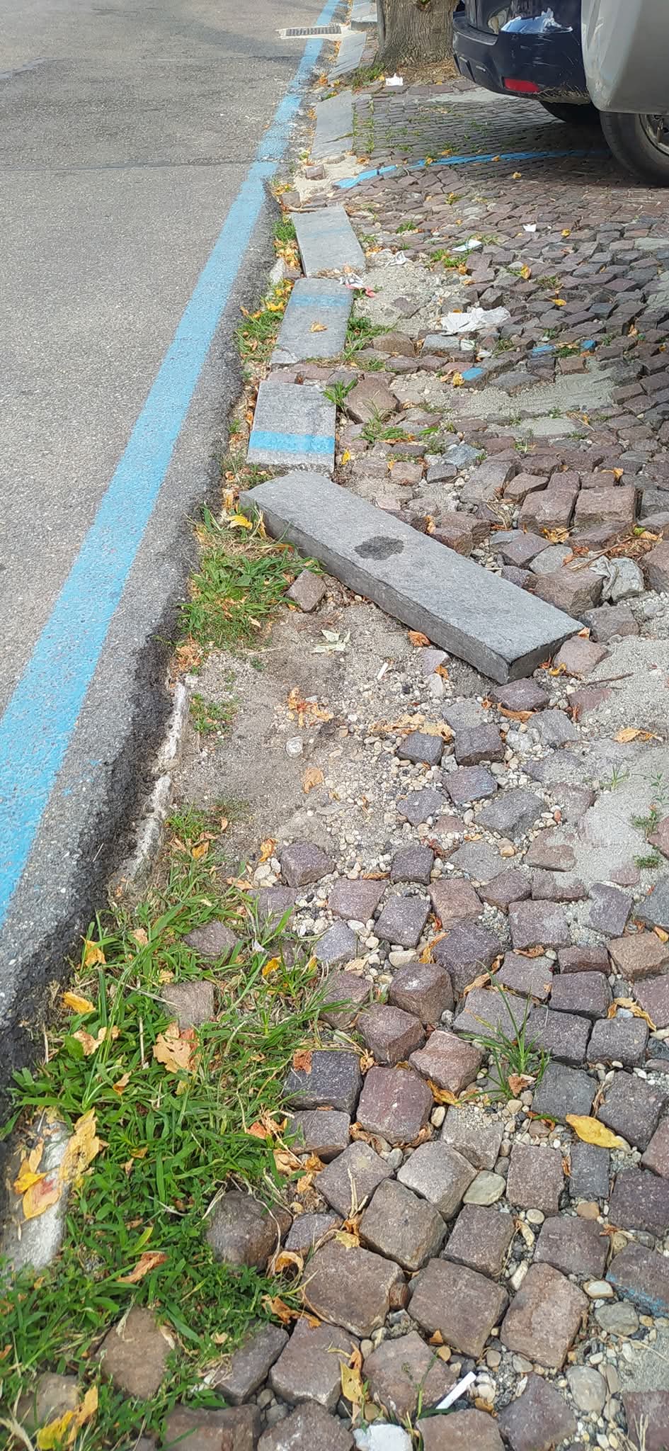 MONCALIERI – ‘Piú manutenzione in viale Porta Piacentina’
