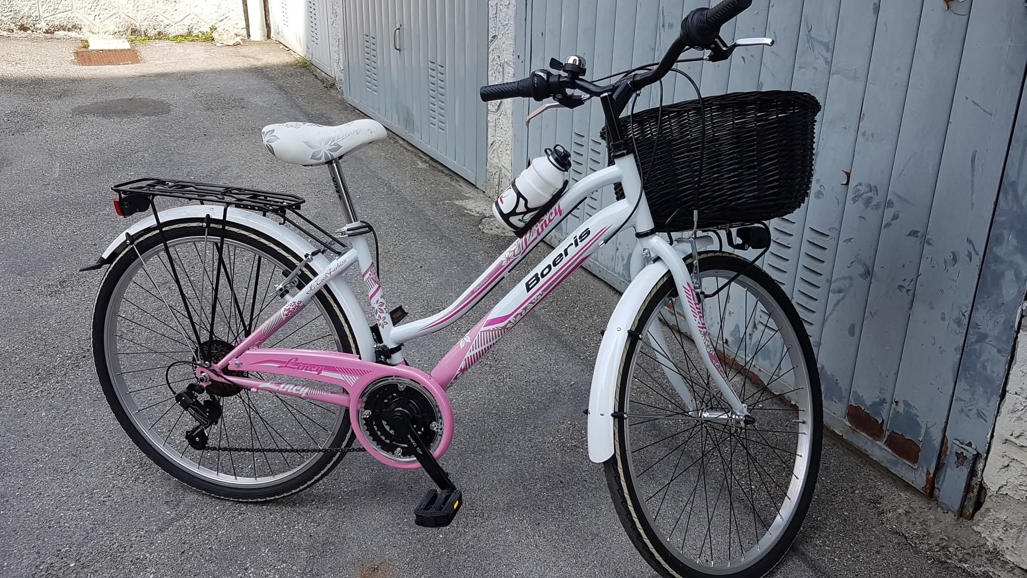 NICHELINO – Tornano i ladri di biciclette