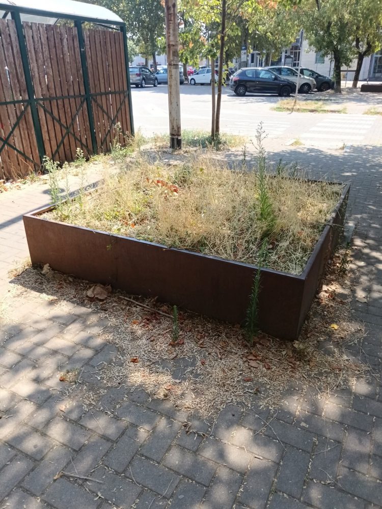 CARMAGNOLA – Zone verdi lasciate al degrado