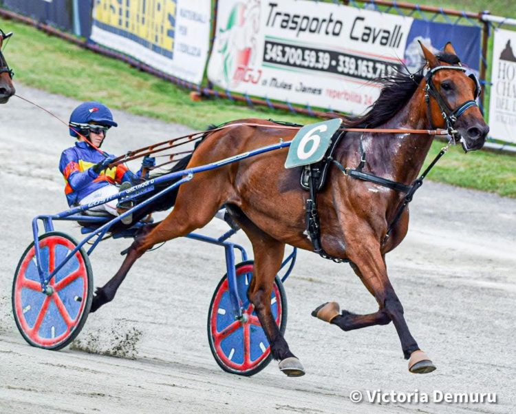 VINOVO – Nuovi successi per i cavalli di casa all’ippodromo