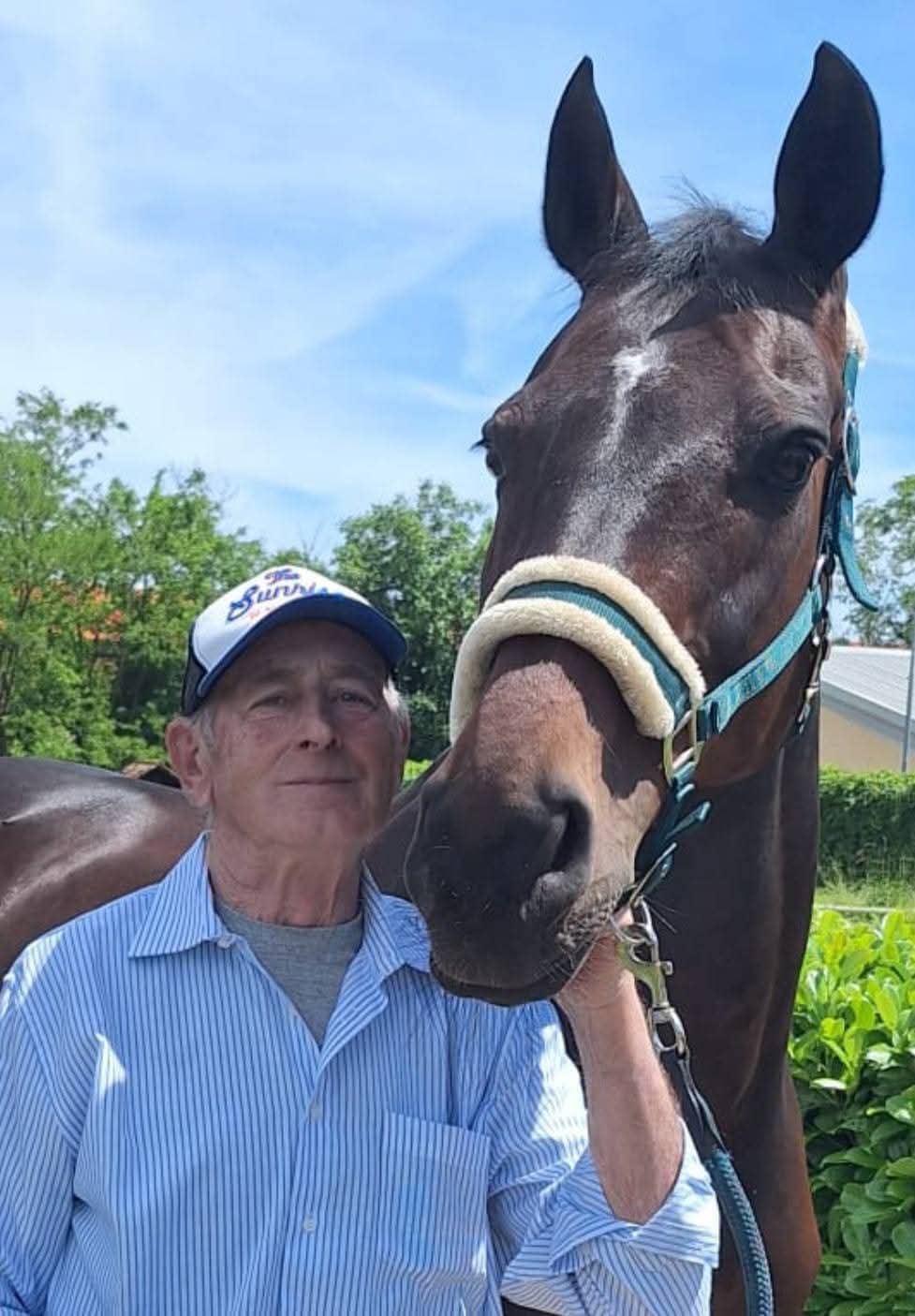VINOVO – Addio a uno storico driver di cavalli
