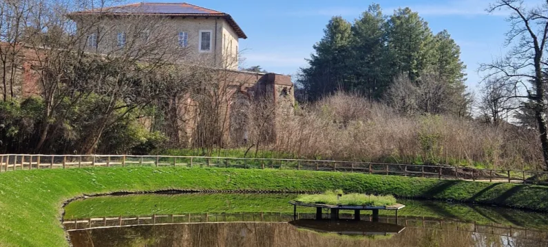 MONCALIERI – Bosco del Re, serve un restyling di vialetti e alberi