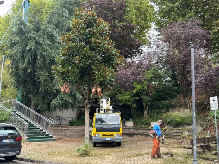 TROFARELLO – Lavori di manutenzione in città